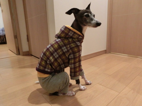 f0223972_20273513.jpg