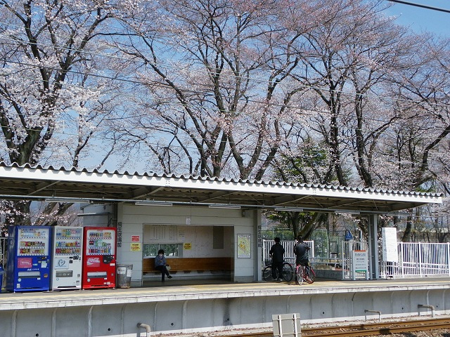 b0004675_1658566.jpg
