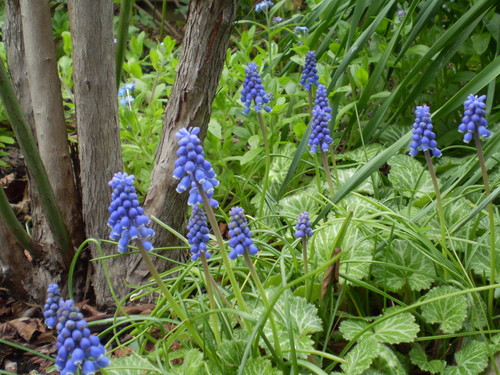 a0135990_20411732.jpg