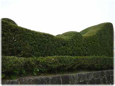 f0194690_15231343.jpg