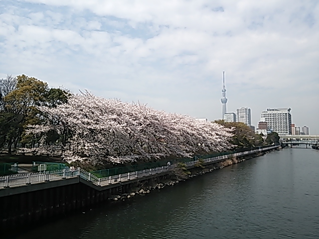 a0229491_1321346.jpg