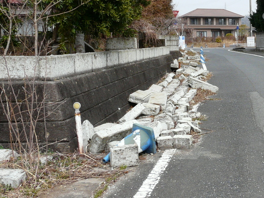 a0272591_2372261.jpg