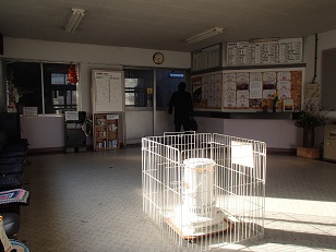 c0187298_20434696.jpg