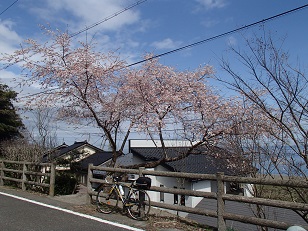 c0187298_2047889.jpg