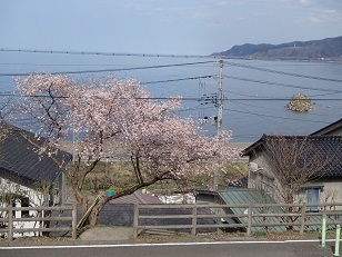 c0187298_20481284.jpg