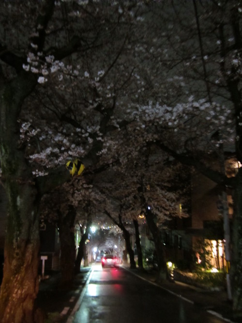 f0013998_5585548.jpg