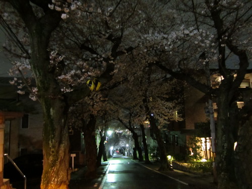 f0013998_559489.jpg