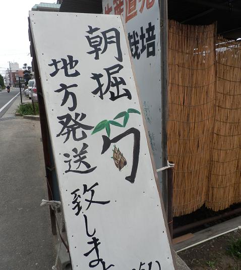 c0098501_1529335.jpg