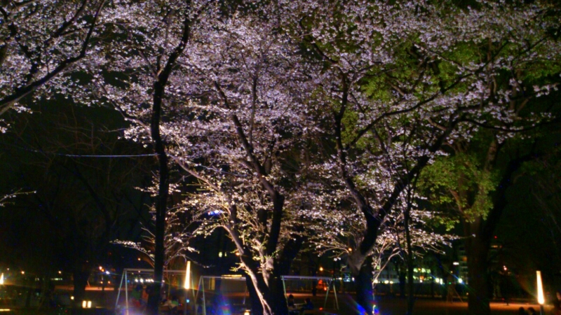 c0202101_9585929.jpg