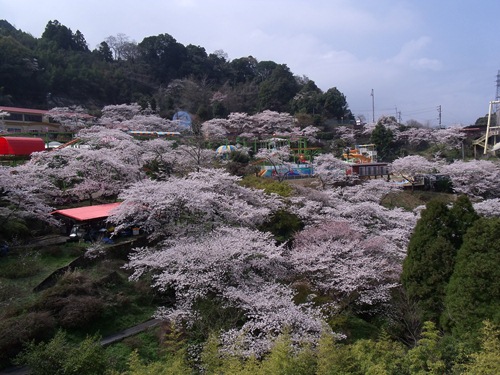 c0017802_17165830.jpg