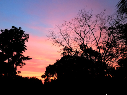 a0201204_23164979.jpg