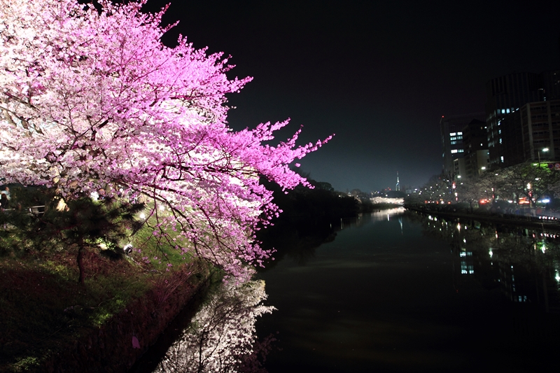 a0097006_0271115.jpg