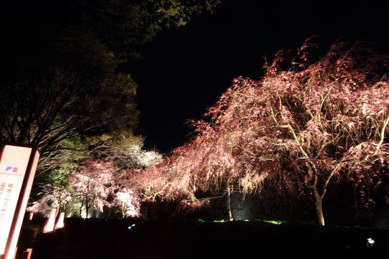 a0097006_044501.jpg