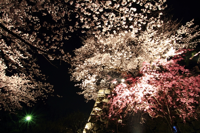 a0097006_045496.jpg