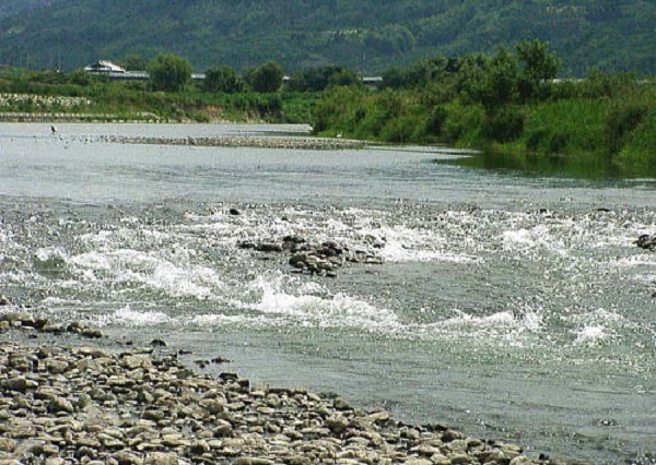 e0258208_20325990.jpg