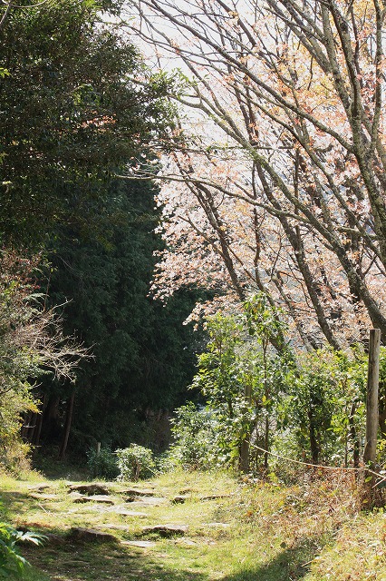 d0154609_1121084.jpg