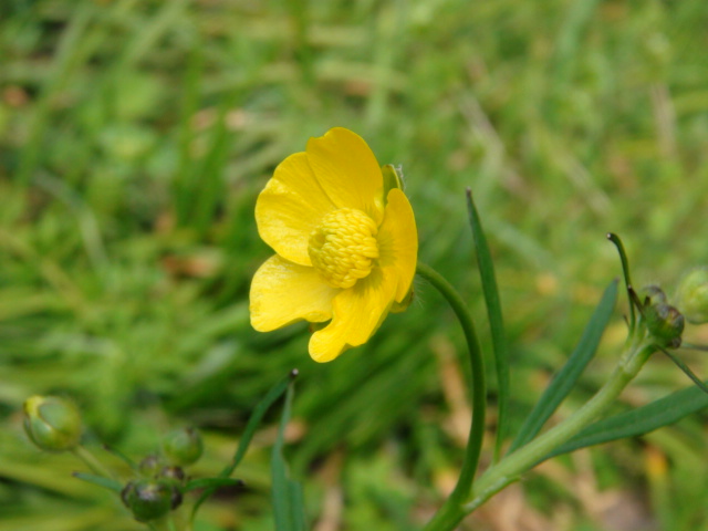 f0231709_8191057.jpg