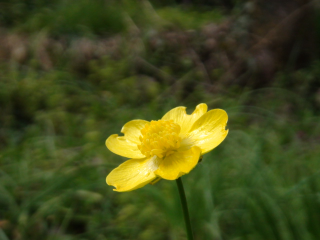 f0231709_8195829.jpg