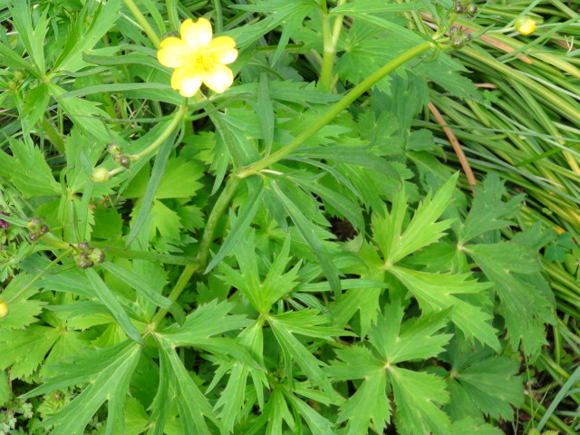 f0231709_8204612.jpg