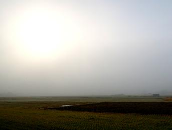 a0158613_1640494.jpg