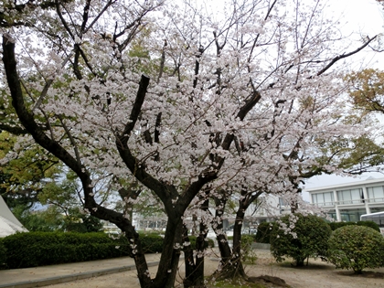 a0105023_20281035.jpg