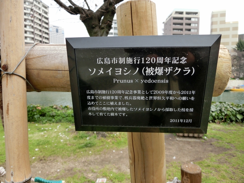 a0105023_2032355.jpg