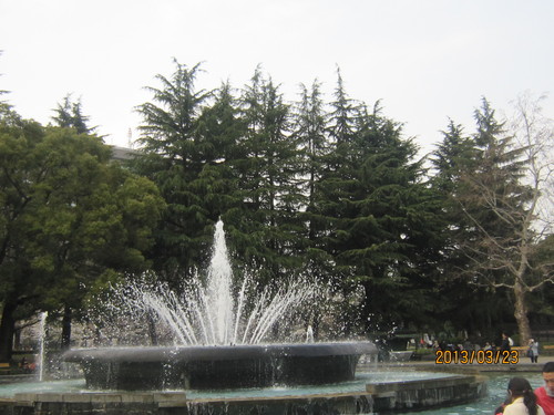 d0162225_2304313.jpg