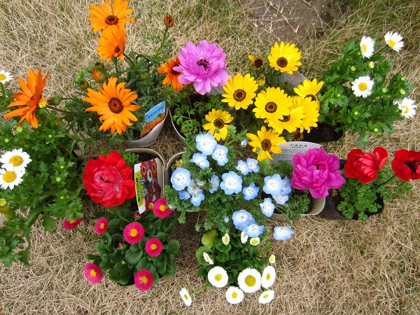 f0002833_18355814.jpg