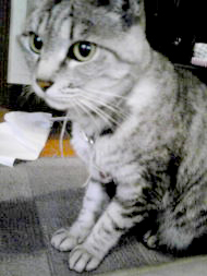 e0316841_1631141.jpg