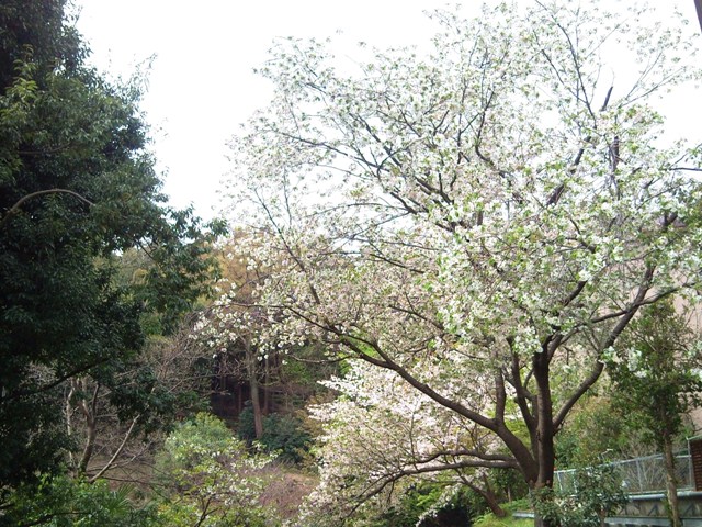 e0150843_1893433.jpg