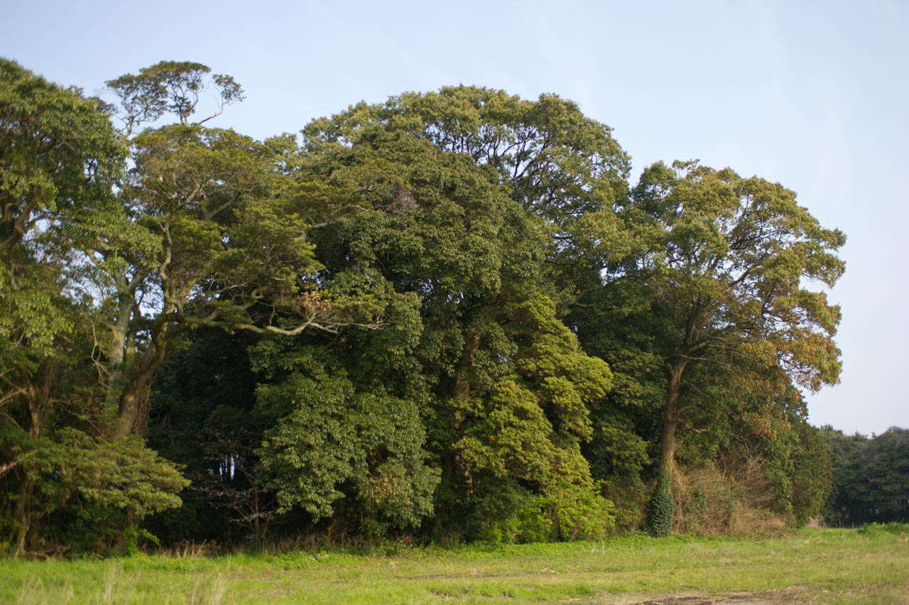 b0023047_4411396.jpg