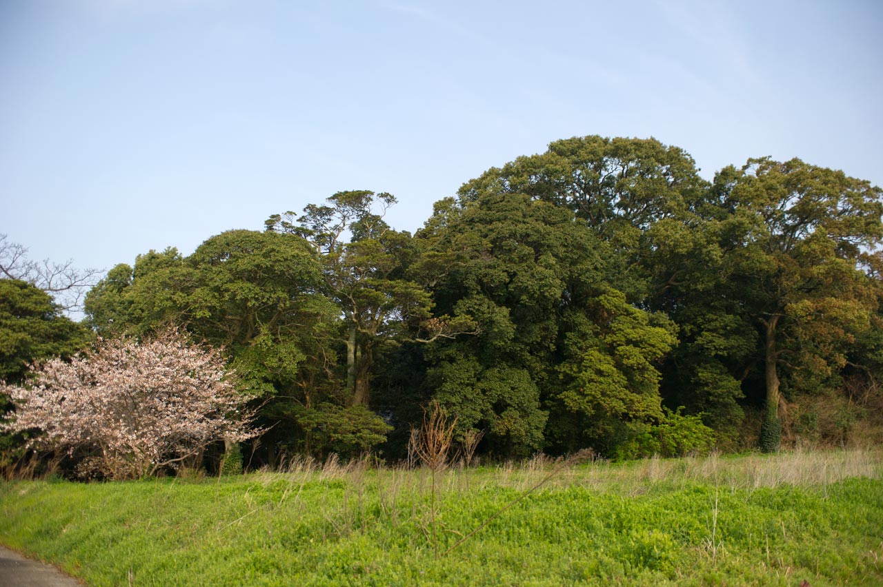 b0023047_44118.jpg