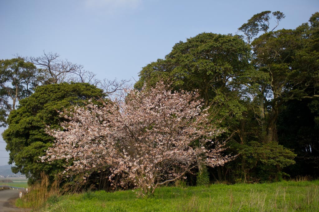 b0023047_4412138.jpg
