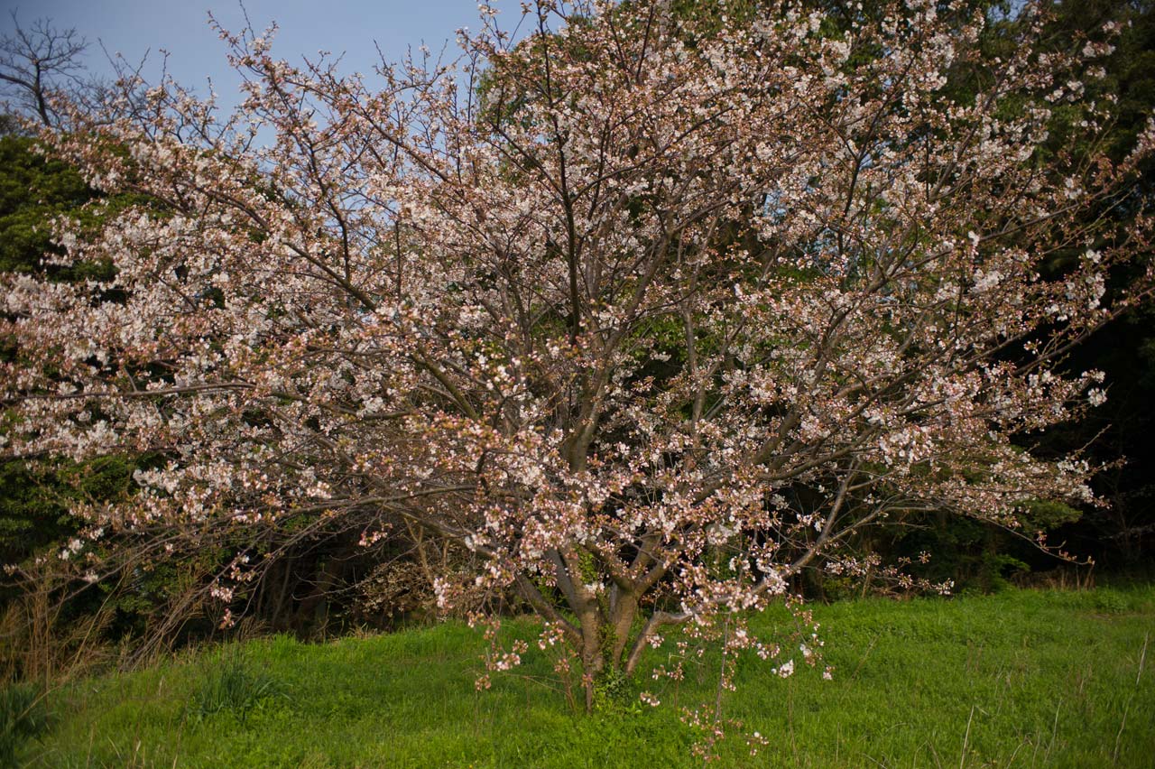 b0023047_4414180.jpg