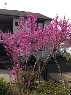 f0179947_05164.jpg