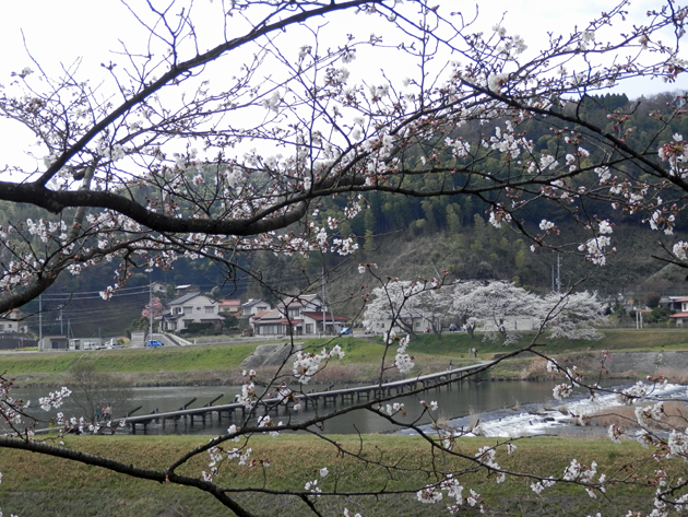 f0214649_5175455.jpg