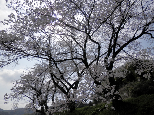 f0214649_5251194.jpg