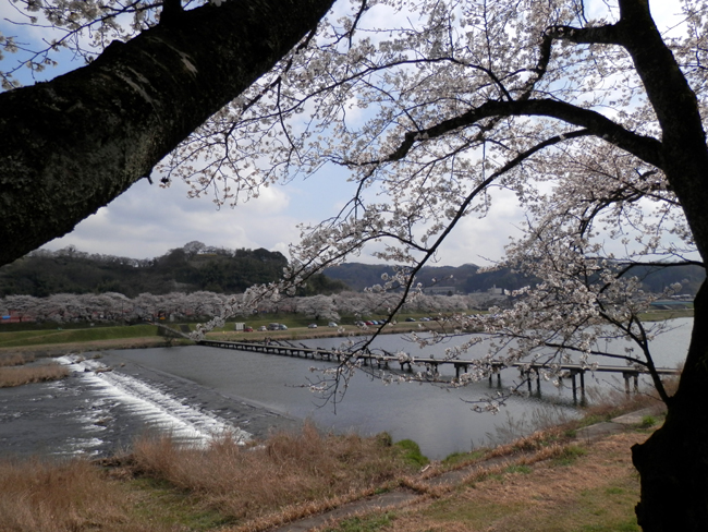f0214649_5254753.jpg