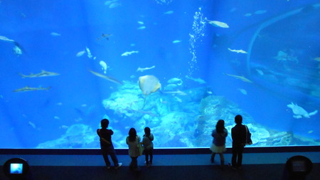 d0274760_7463175.jpg