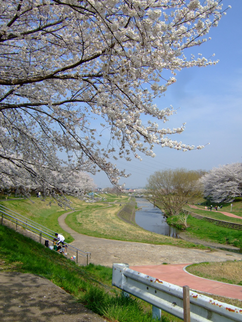 a0105480_13295383.jpg