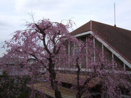 f0039281_21562358.jpg