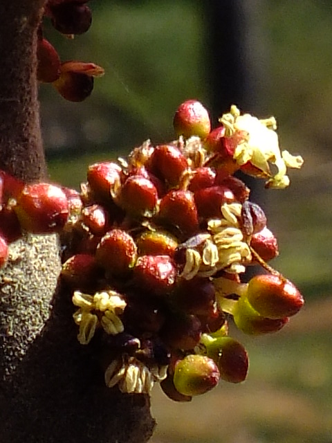 e0145782_5245218.jpg