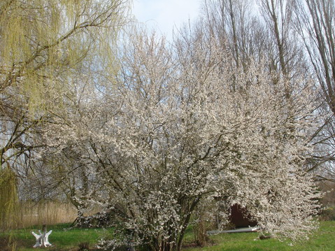 a0247585_75345.jpg