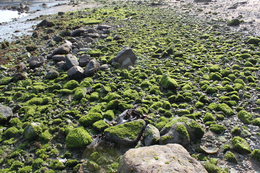 f0257085_1235543.jpg