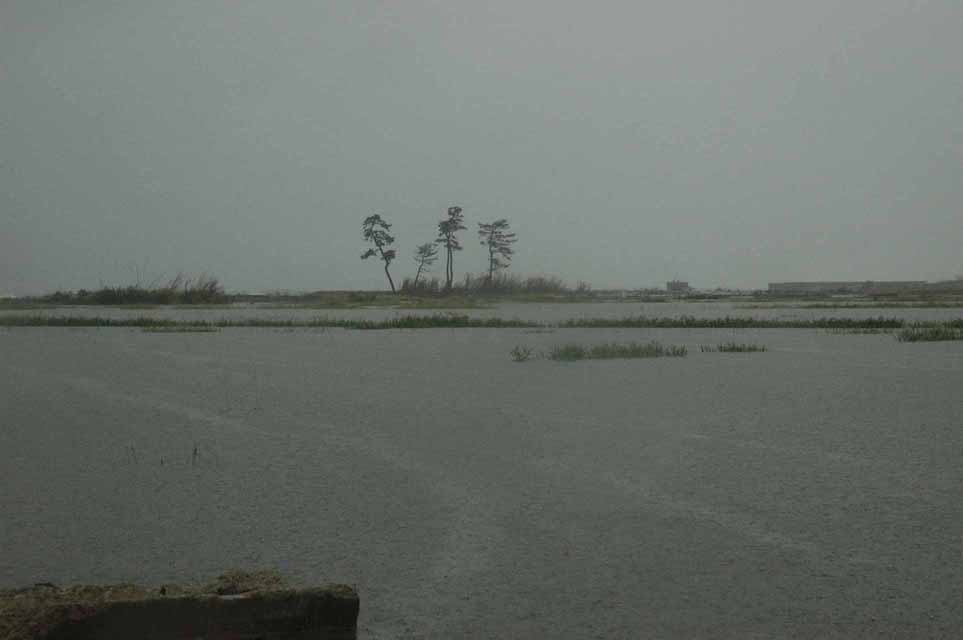 c0170789_1249613.jpg
