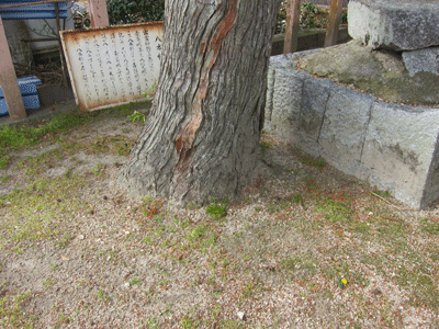 c0193289_8283748.gif