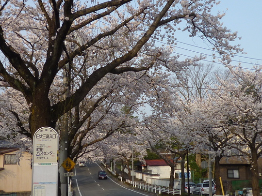 a0272591_2057568.jpg