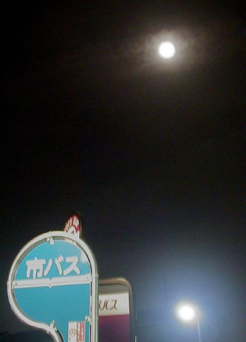 d0053294_19452769.jpg