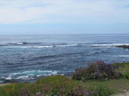 a0127398_827477.jpg