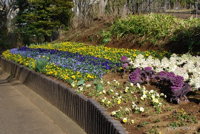 e0025300_1955152.jpg
